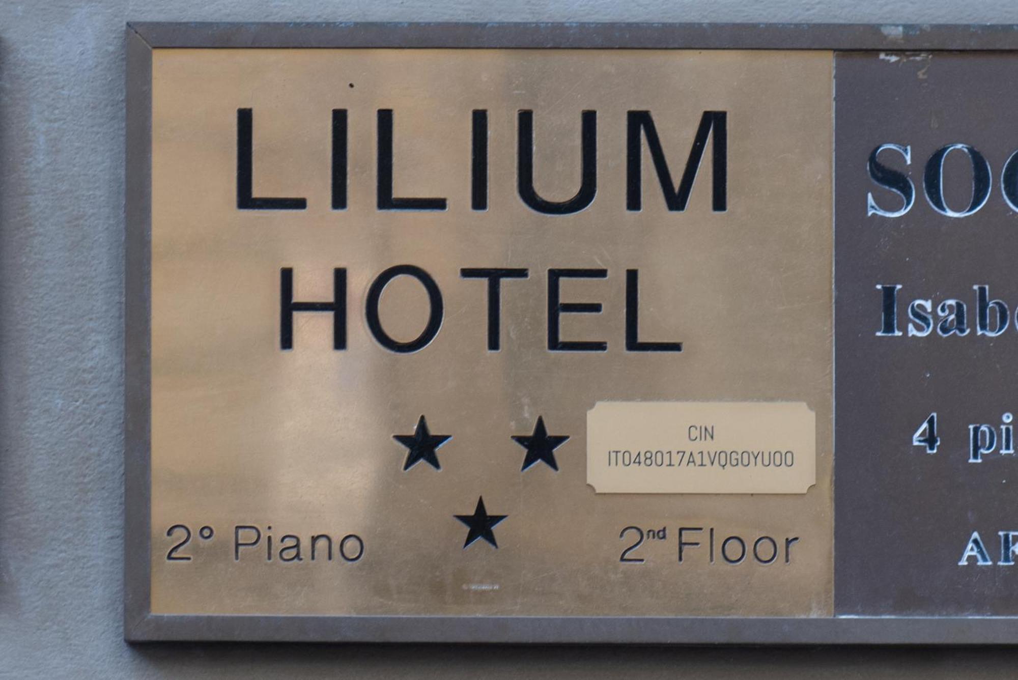 Lilium 3* Firenze